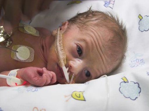 Dominique York Profile Photo