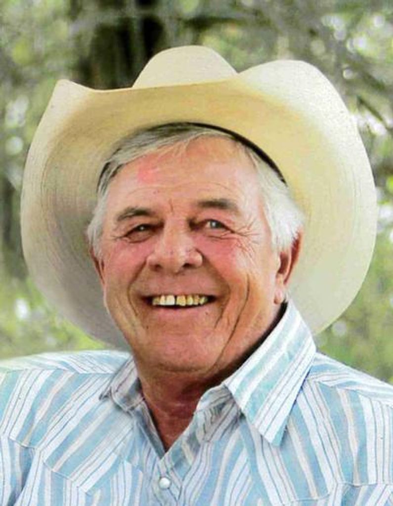 Daniel V. Peterson Profile Photo
