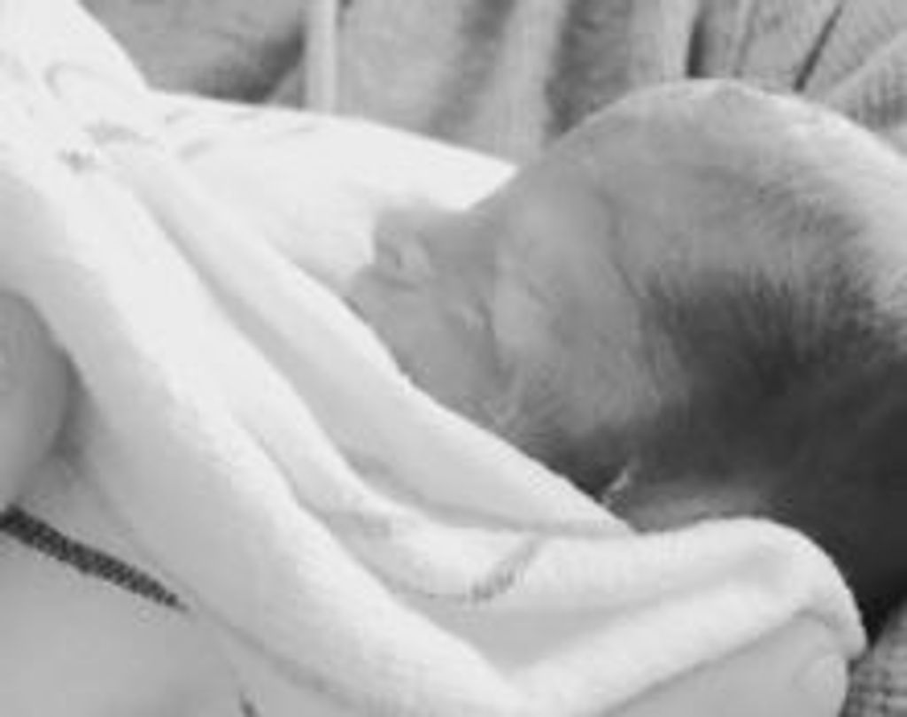 Rosalie  Grace Sullivan Profile Photo