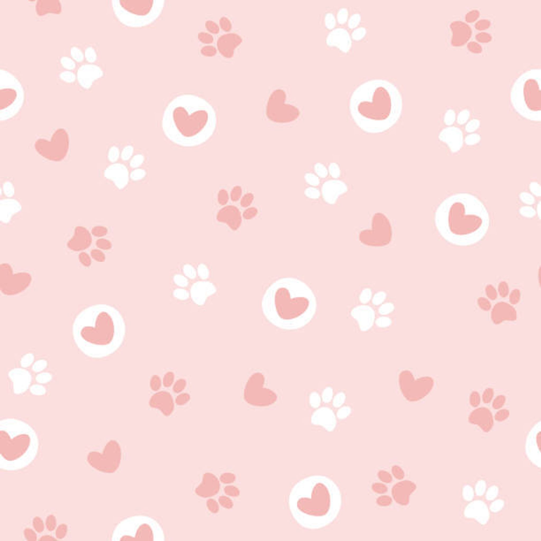 Cover for Patricia A. Hutta's Obituary