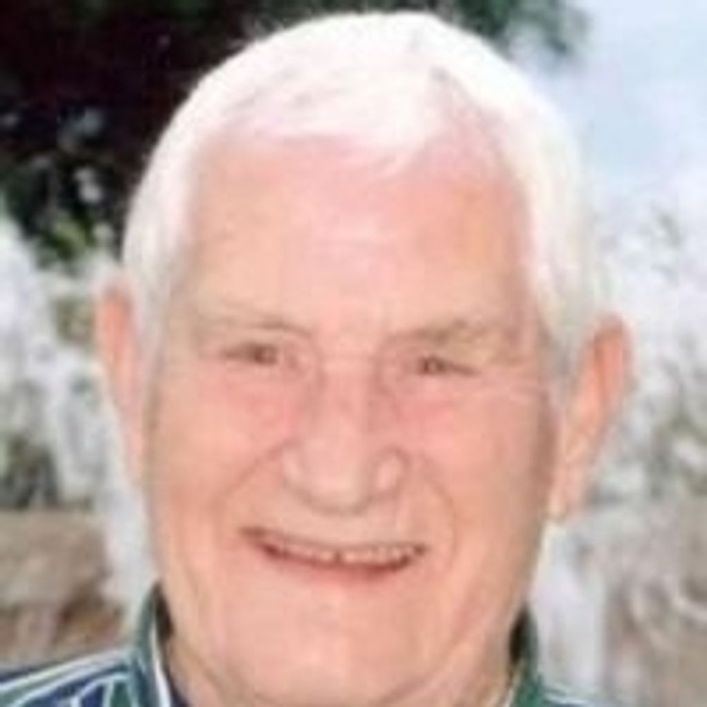 Alfred Eugene Higganbotham