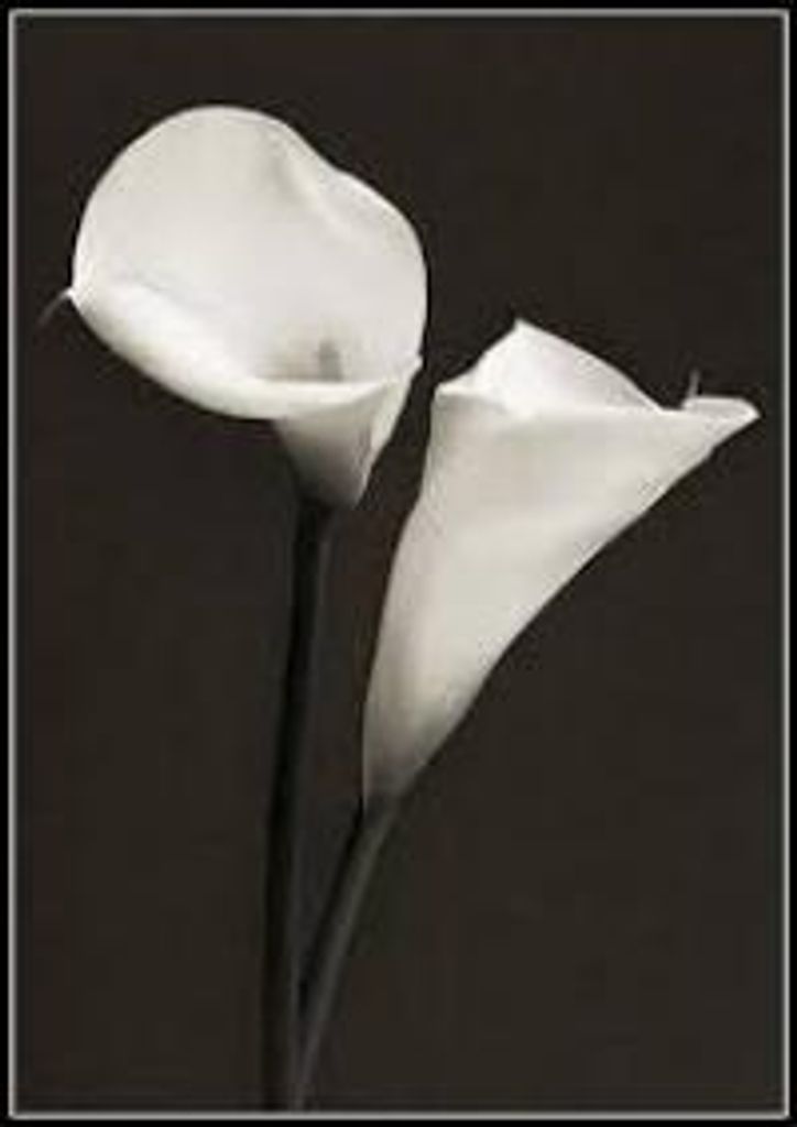 Robert  Eldred