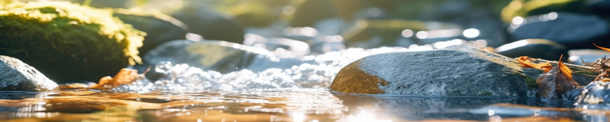 Cover for Robert David Hahn's Obituary