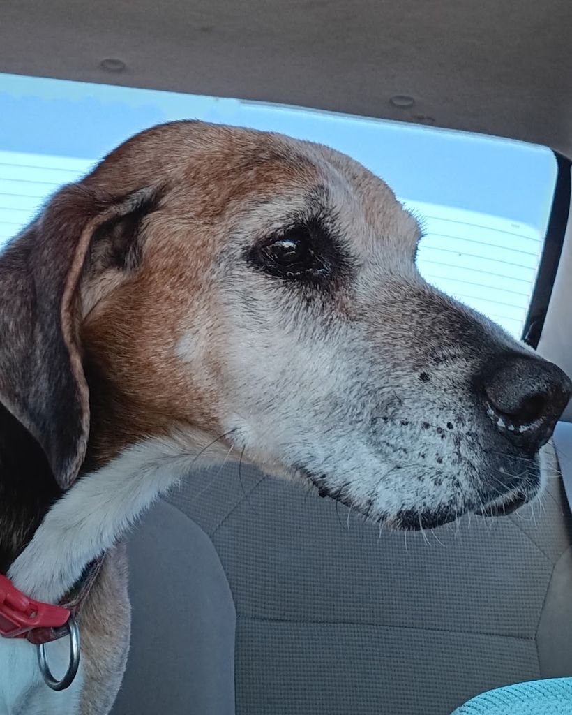 Rosie Burchfield Profile Photo