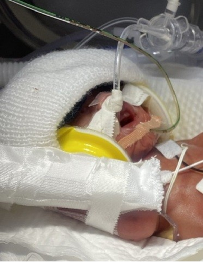 Kathryn Eva Louann Fortin