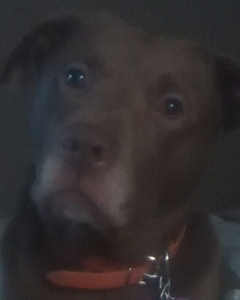 Charlie