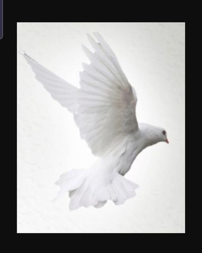 Charles Robertson '60''s obituary image