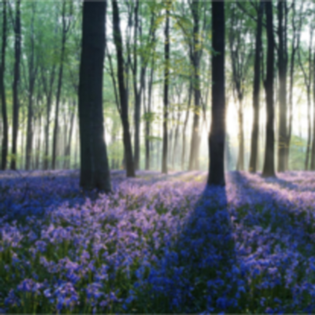 Lynette Jeanne Klett