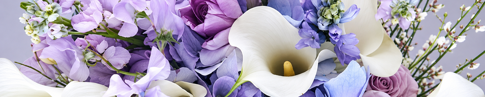 Cover for Ann Jackson's Obituary