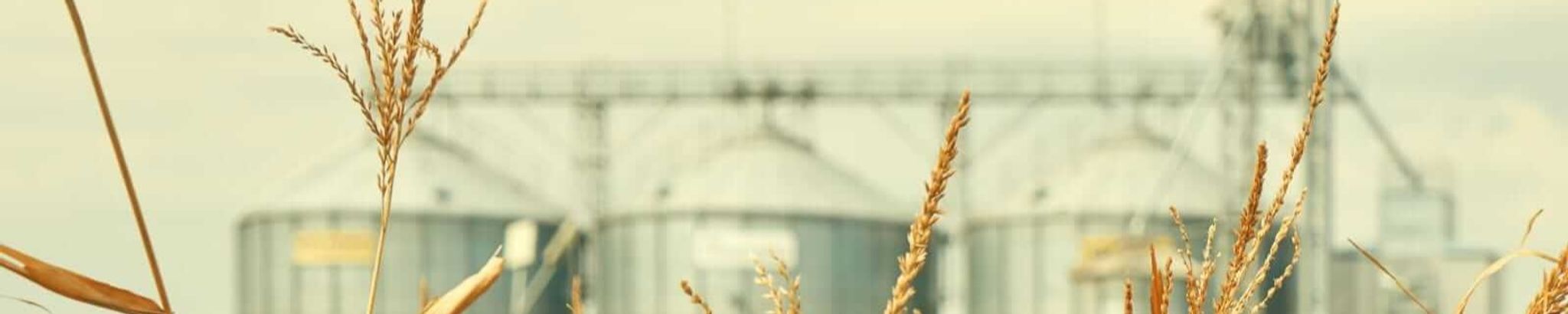 Cover photo for Kelly Davidson's Obituary