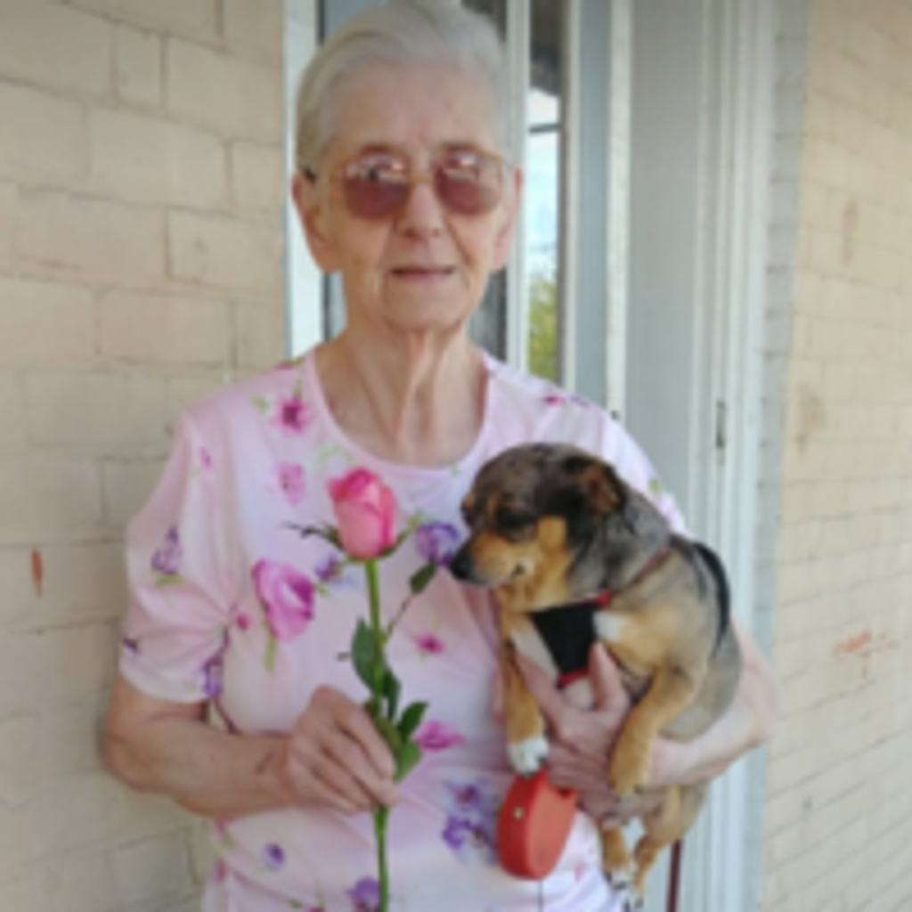 Rosemary McBride Profile Photo