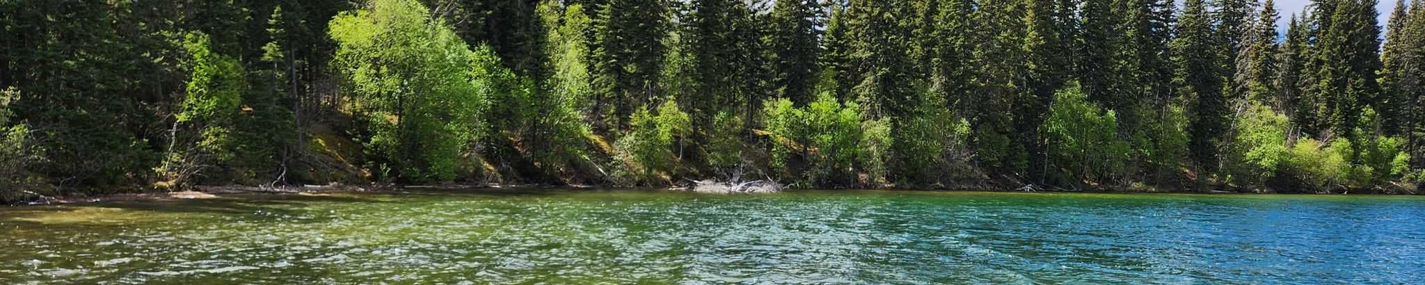 Cover for Timothy Niosalke's Obituary