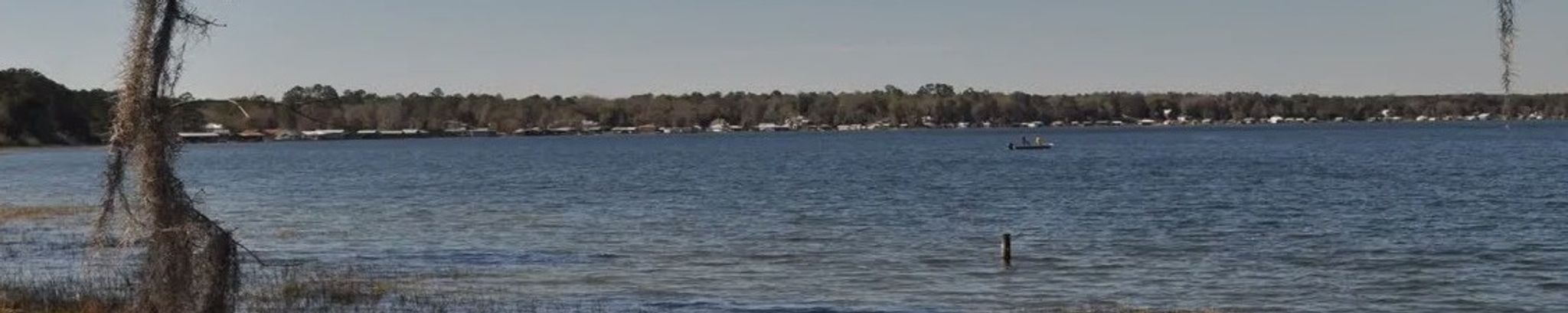 Cover for Patricia Gayle Pruitt's Obituary