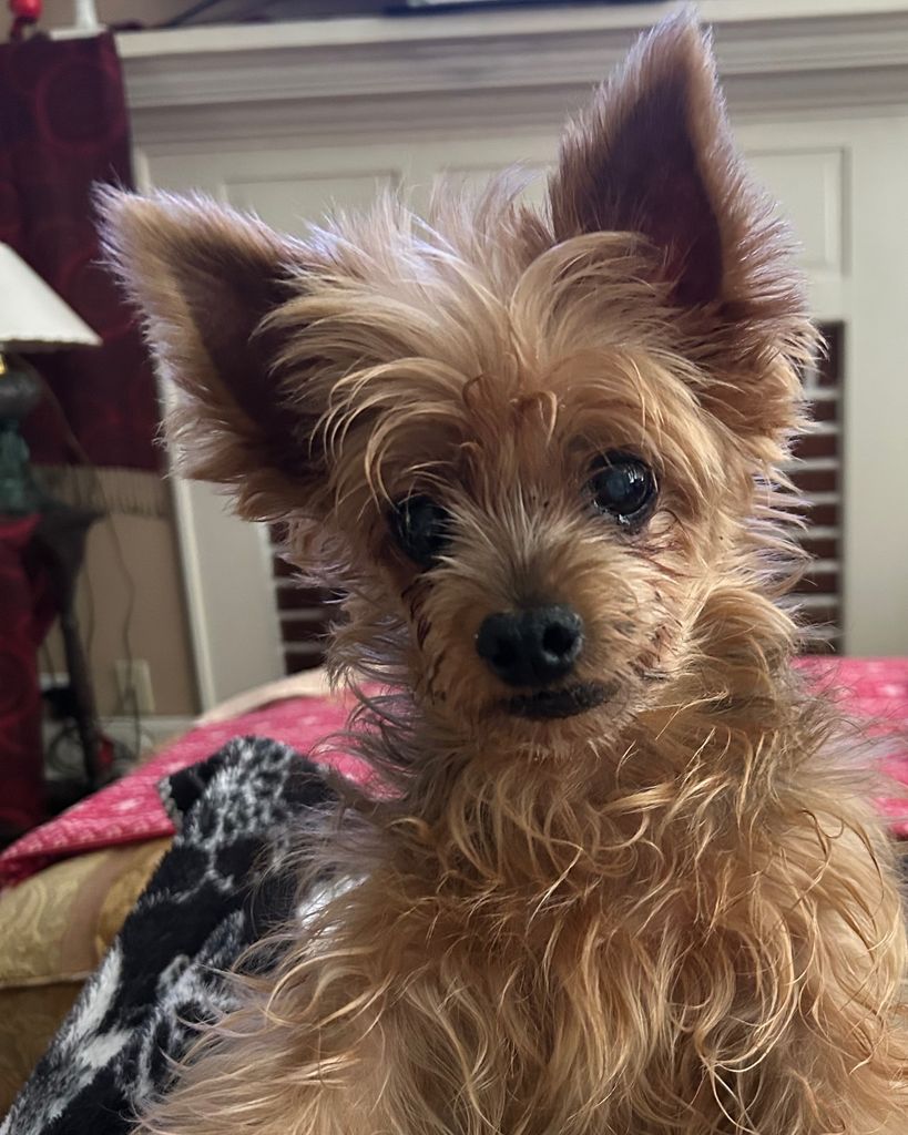 Max Shankles Profile Photo