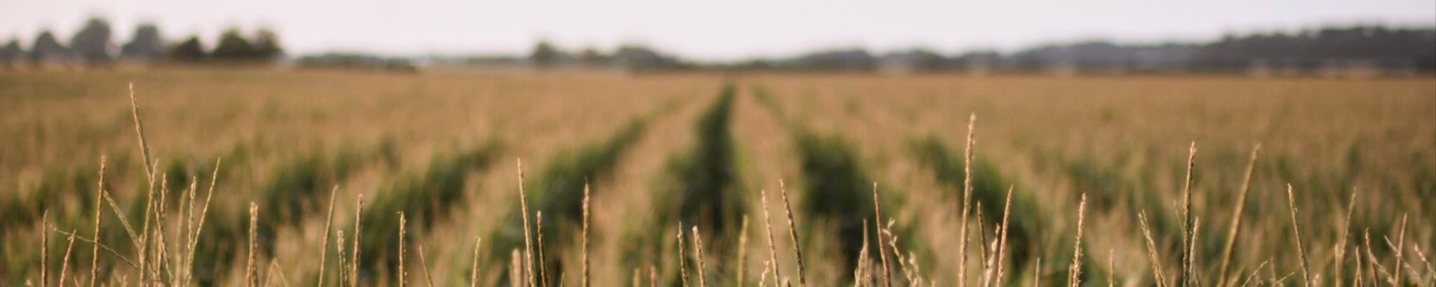 Cover for Robert "Bob" Fick's Obituary