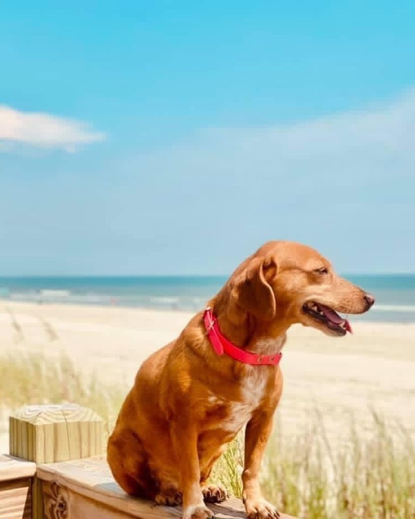 Bonnie Marie Townley