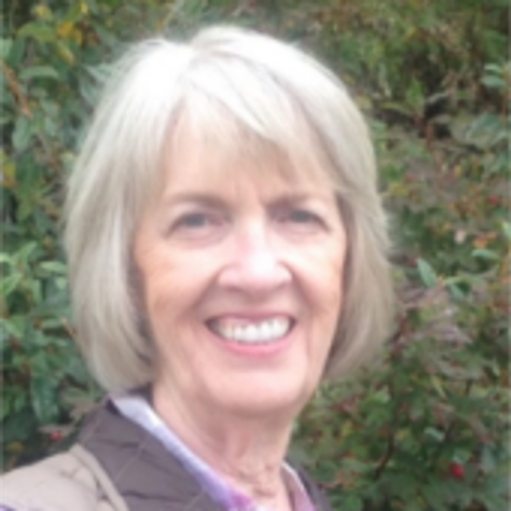 Mary L Larsen
