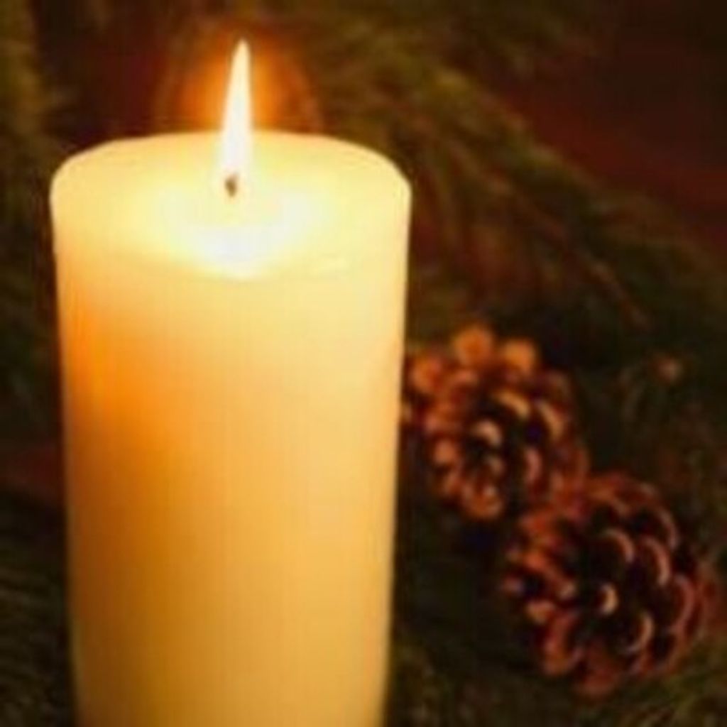 Virginia L. Phillips