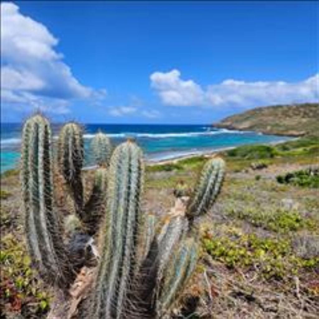 Paul Wayne Sherman Profile Photo