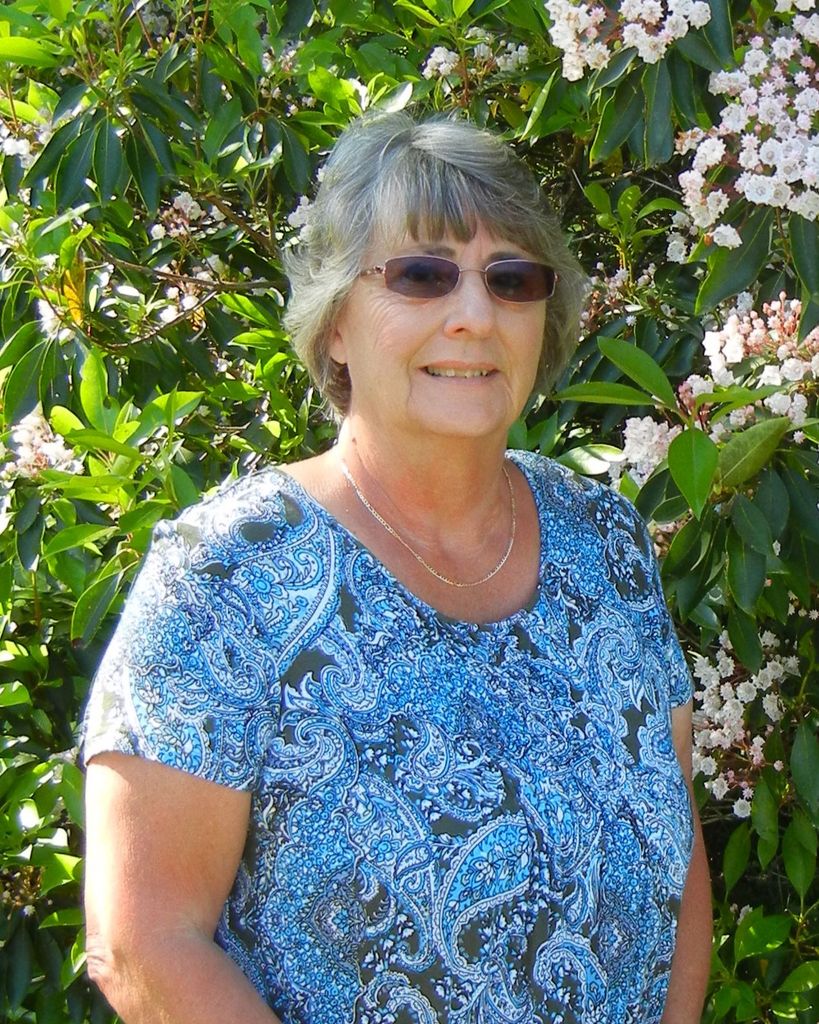 Cathy Ann Books