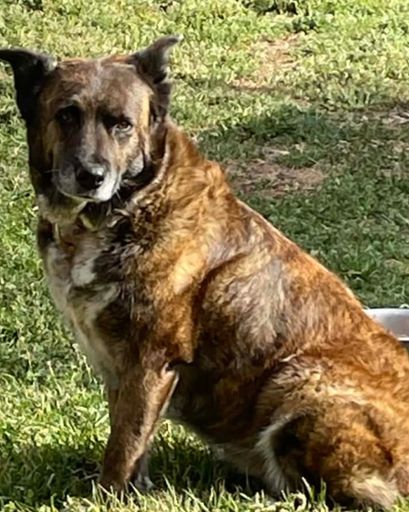 Khloe Hermosillio Profile Photo