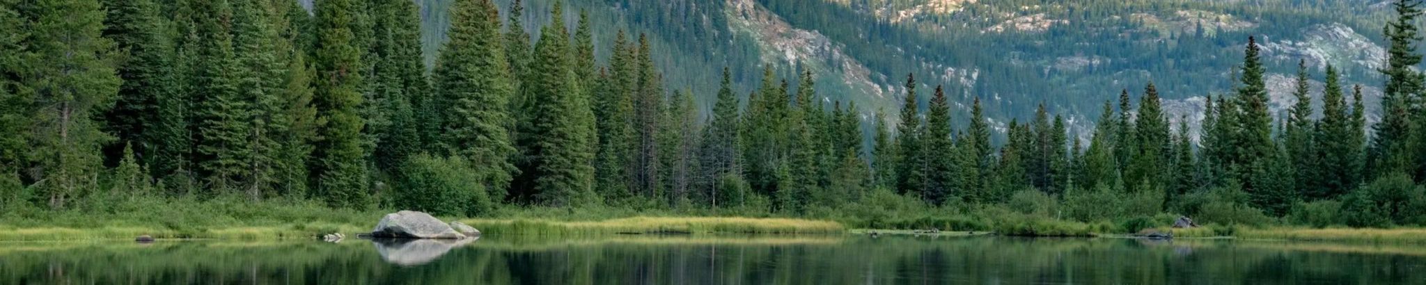 Cover for John Michael Buerger's Obituary