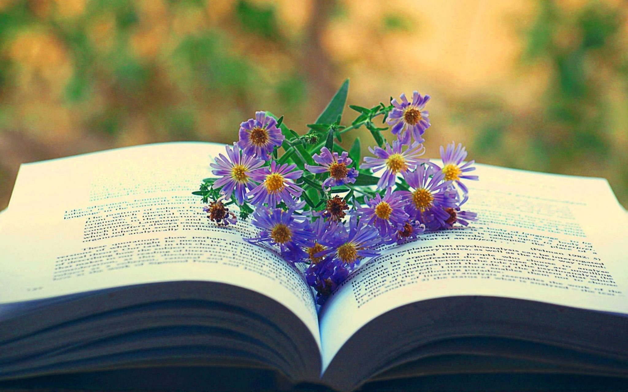 Cover photo for Barbara D. Anderson's Obituary