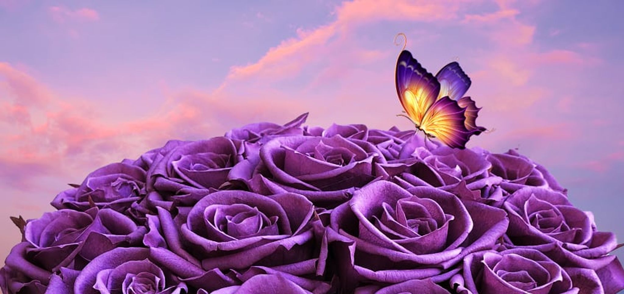 Cover photo for Alexis Rose Walker's Obituary