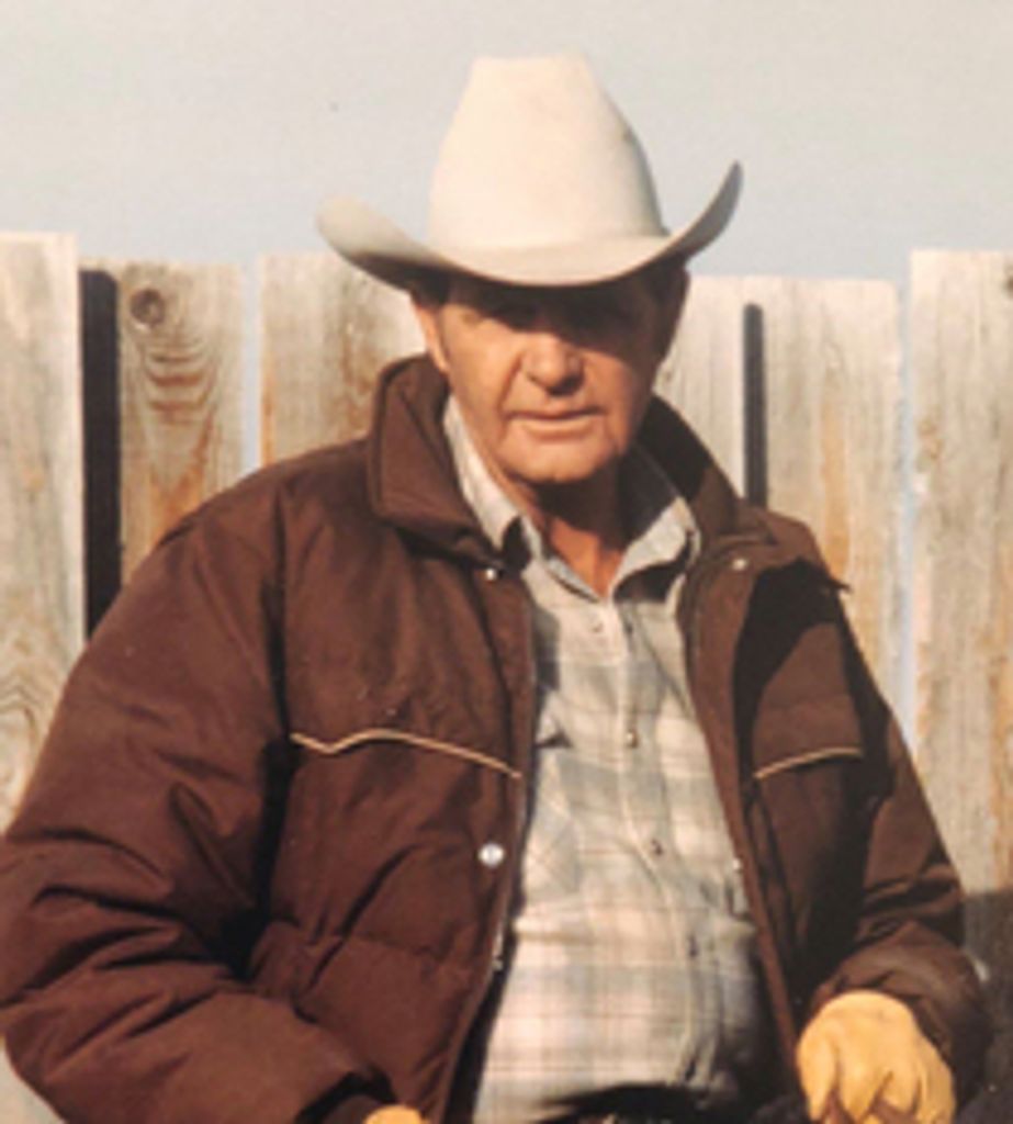 Angus McGillis