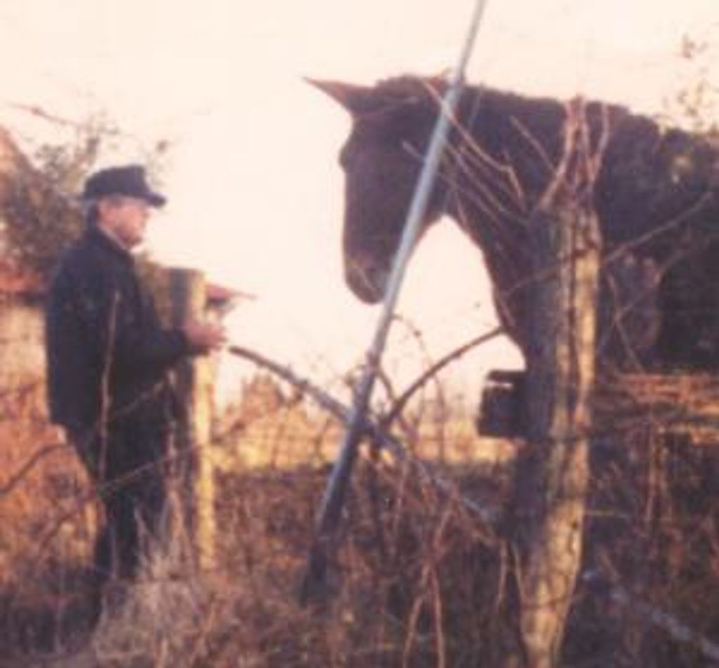 Mr.    Robert Haycraft