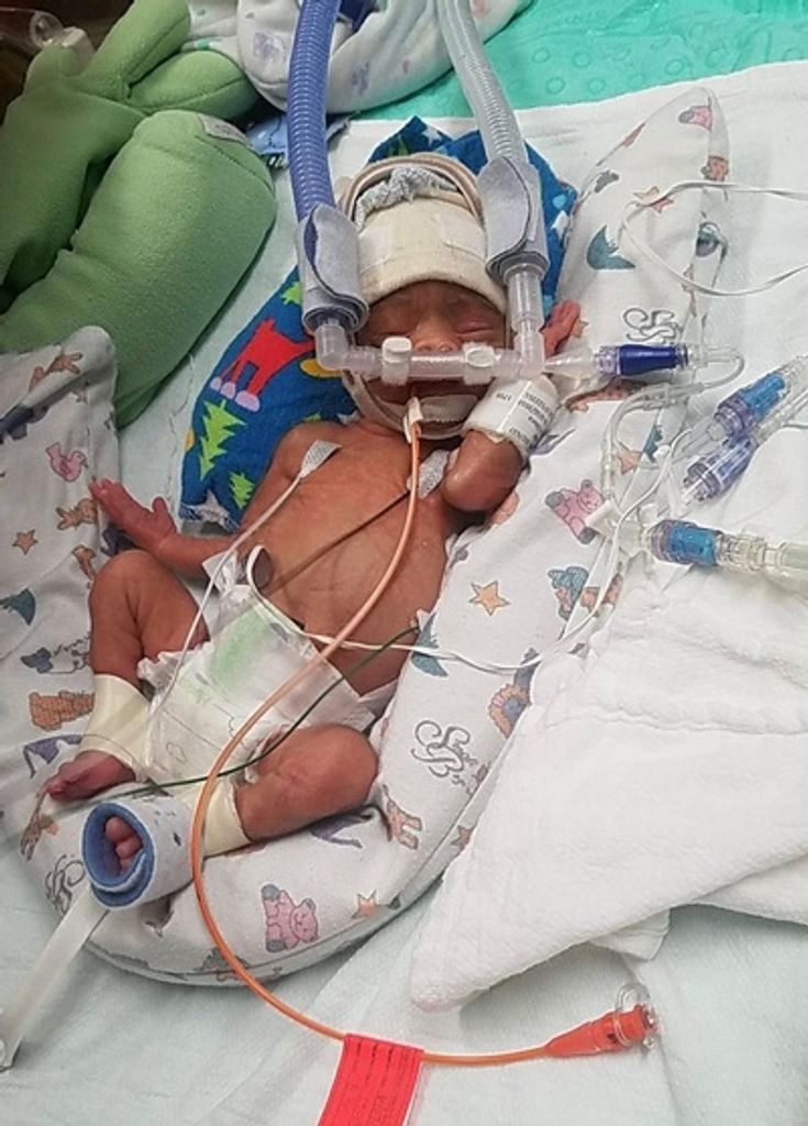 Thiago Mascorro Profile Photo