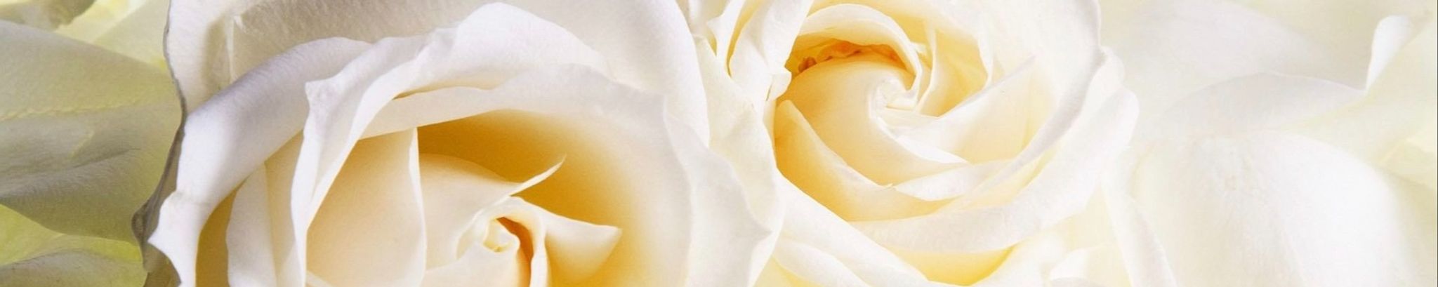 Cover photo for Tomasa Martinez Mauer's Obituary