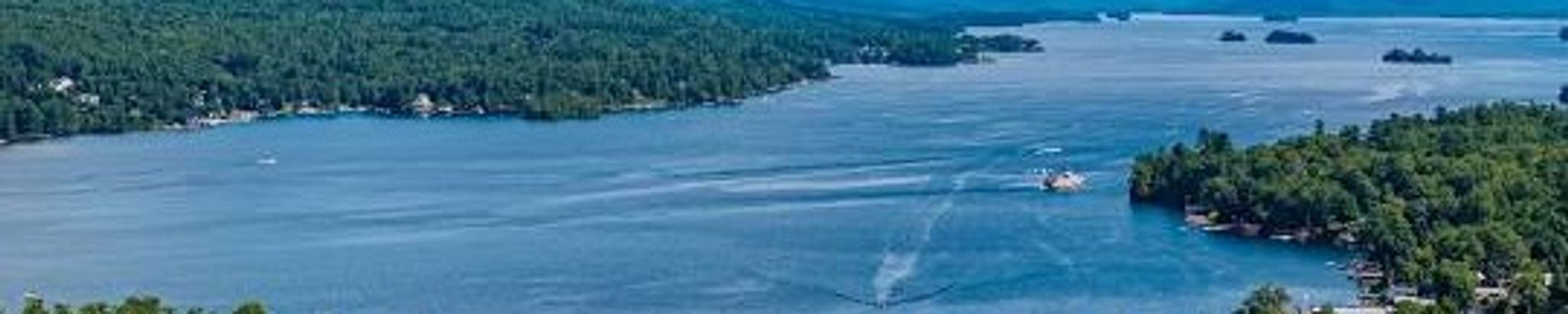 Cover for Carol A. Roscioli DiPace's Obituary