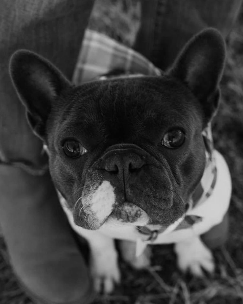 Moses "Mo" Profile Photo