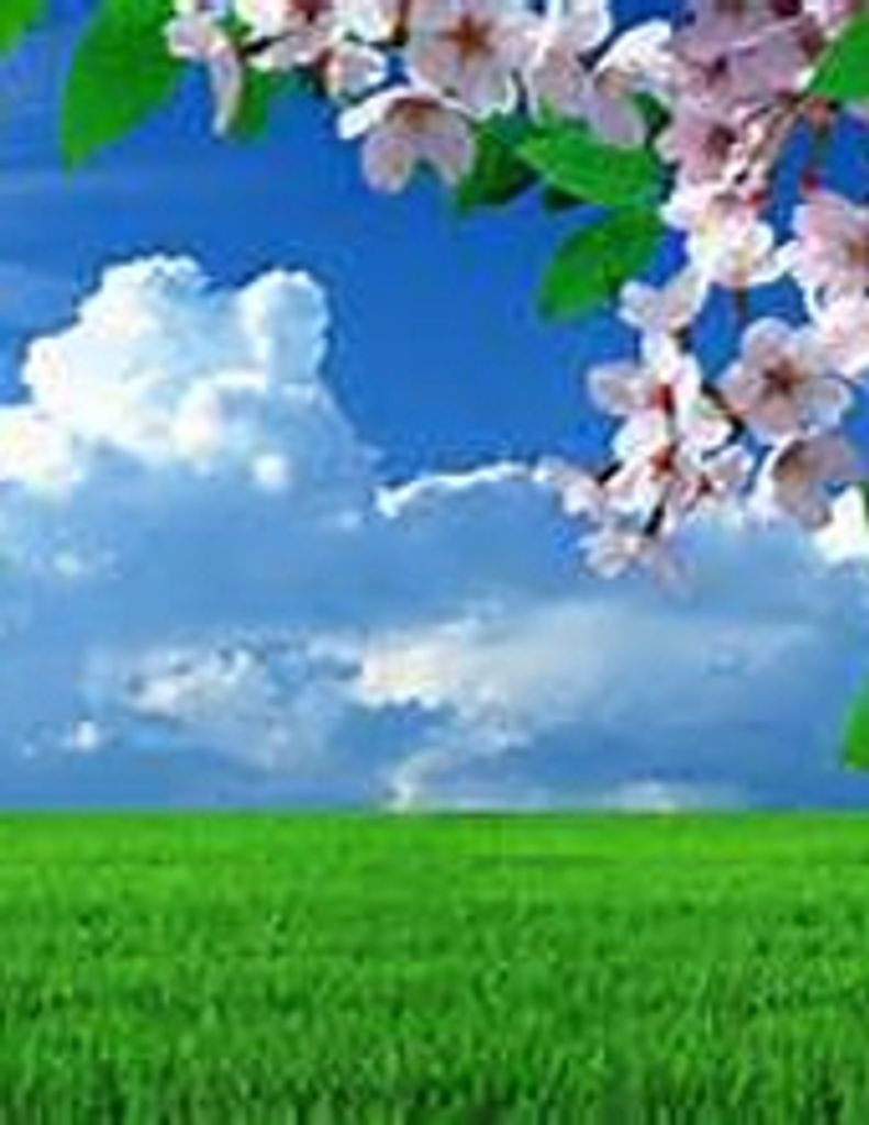 Barbara J. Hightower Meade