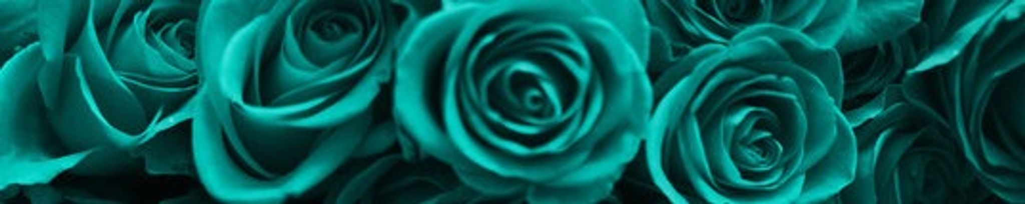 Cover for Joyria "Ria" Akimi Lee Williams's Obituary