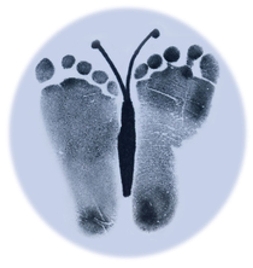 August David Brutger