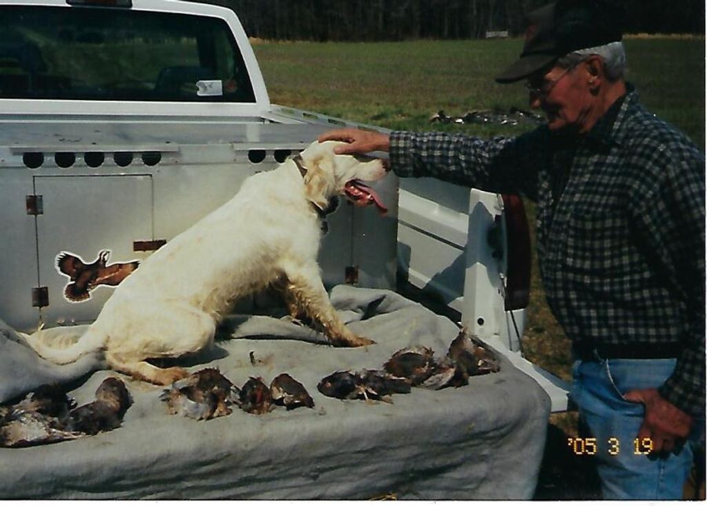 Jack Darrell Whitledge