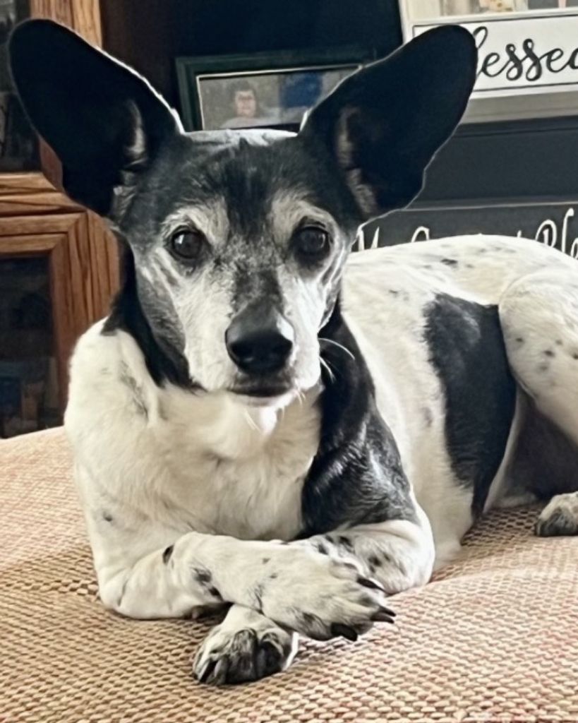 Pepper Hale Profile Photo