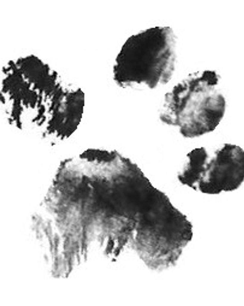 Molly Gates Profile Photo