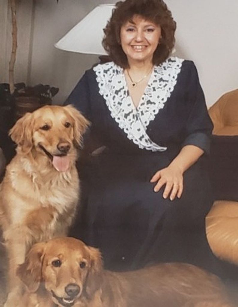 Dianne Cook Uzdawinis