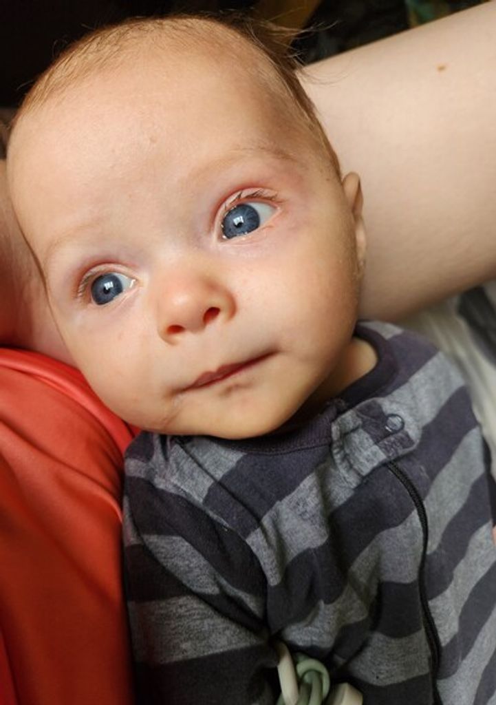 Benjamin Holle Profile Photo