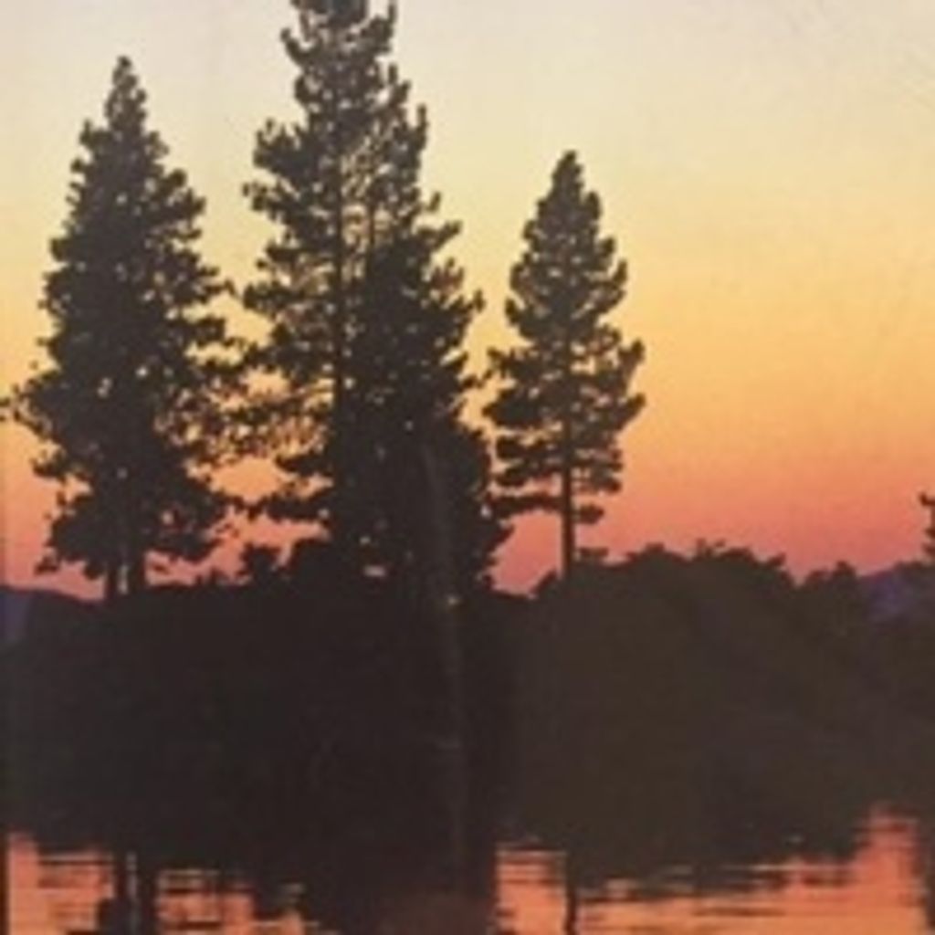 Edward L. Bacino Jr.
