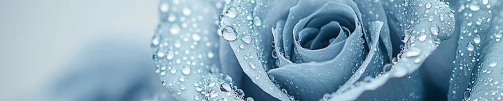 Cover for Helen Reeves's Obituary