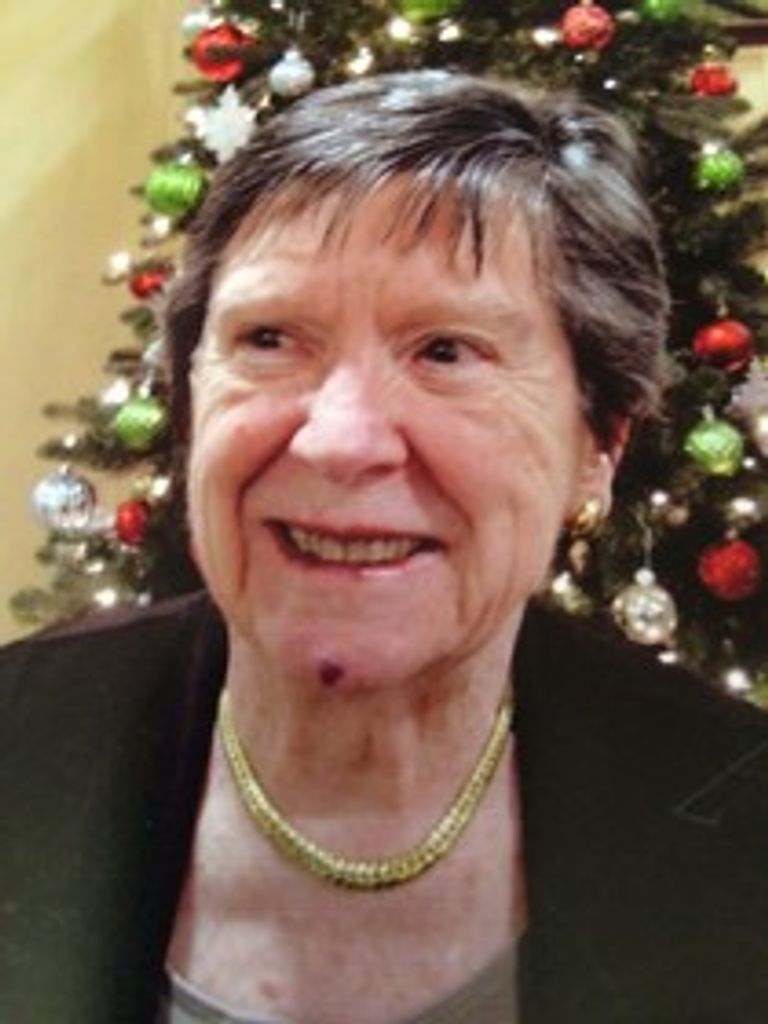 Suzanne N. (Newcomb)  Schatz