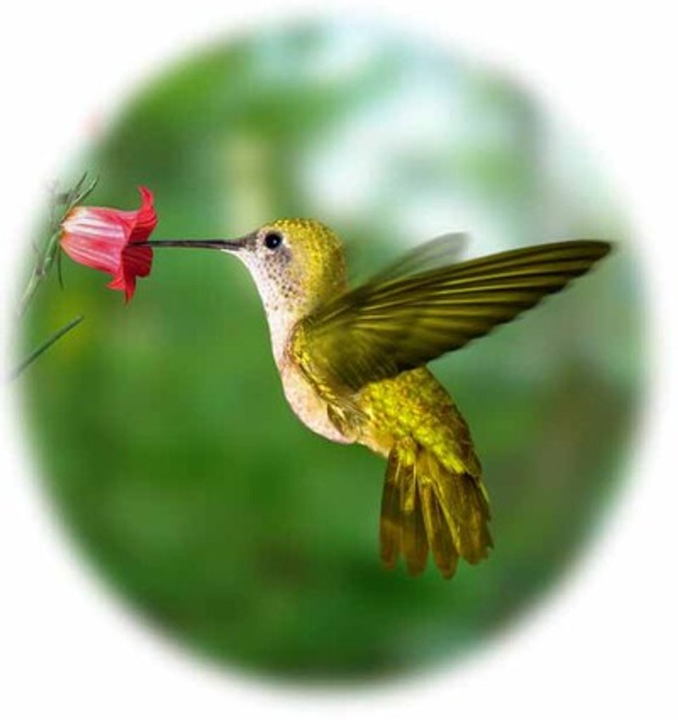 Betty Marlene Spencer