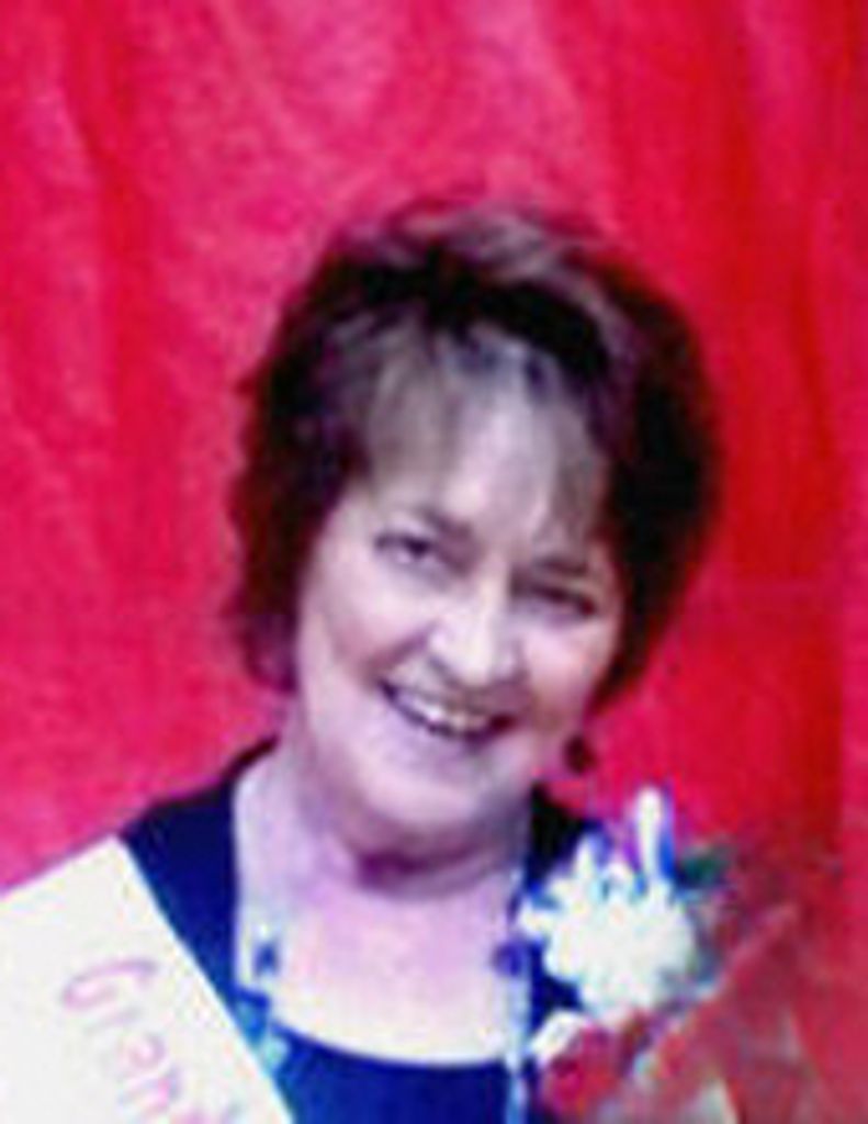 Terrie Haugen Profile Photo