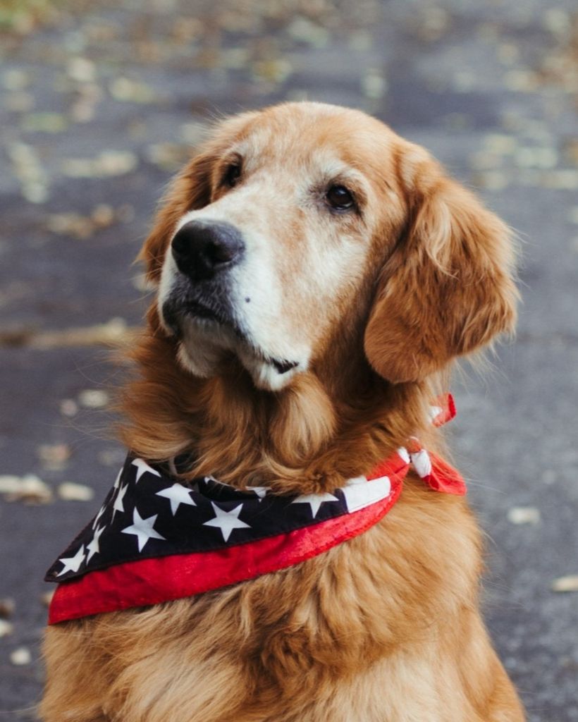 Bosley "Big Boy" Bauer