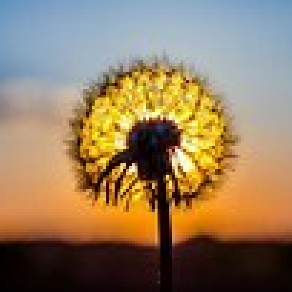 Angela Marie Giordano Profile Photo