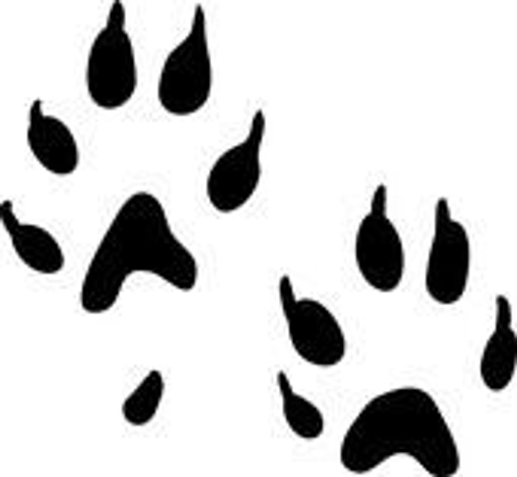 Wild Bill Perry Profile Photo